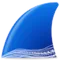 Wireshark